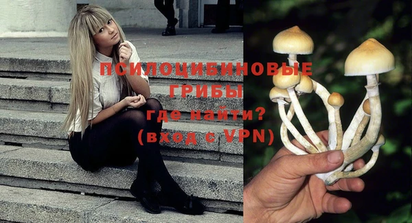 прущие крисы Алзамай