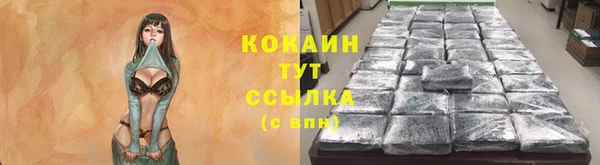 прущие крисы Алзамай