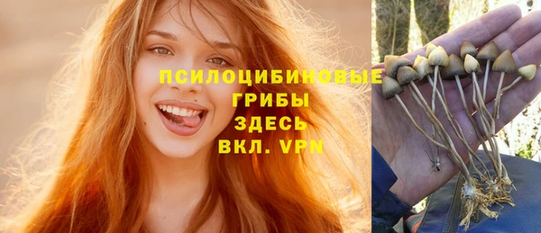 ГАЛЛЮЦИНОГЕННЫЕ ГРИБЫ Алексин