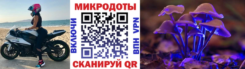купить наркотик  Белгород  Псилоцибиновые грибы Psilocybe 